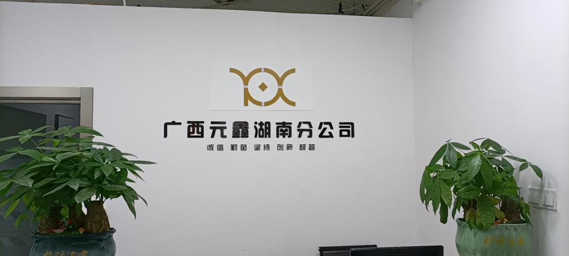 廣西元鑫企業管理咨詢湖南分公司